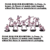 Dreadball: Team Upgrade: Human (Female): (102)